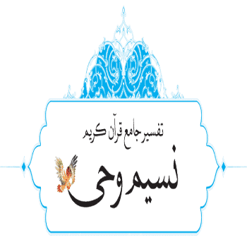 Nasim Vahy Logo